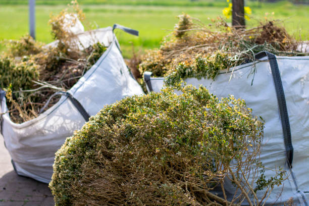 Best Dumpster Rental Services  in Wantagh, NY